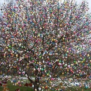 Meet your Posher, Trudy